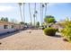 Street view of single-story homes with desert landscaping, palm trees, and a well-kept community area at 16827 N 103Rd Ave, Sun City, AZ 85351