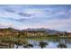 Scenic community lake reflecting the clear sky and mountains, framed by palm trees and manicured green spaces at 17953 W Willow Dr, Goodyear, AZ 85338
