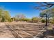Outdoor basketball court surrounded by desert trees and shaded picnic tables under a clear blue sky at 20453 N 95Th Pl, Scottsdale, AZ 85255