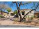 Charming single-story home with desert landscaping and a mature shade tree in the front yard at 20453 N 95Th Pl, Scottsdale, AZ 85255