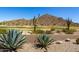 Desert backyard with gravel, a block wall, mature agave plants, and mountain views at 31525 N Gold Field Rd, San Tan Valley, AZ 85143