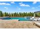 Beautiful pool with a spa and tanning ledge and row of mature hedges at 4037 E Minton Cir, Mesa, AZ 85215