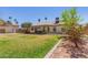 Backyard featuring lawn, a patio and mature shade trees at 4804 W Commonwealth Pl, Chandler, AZ 85226