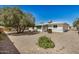 Expansive backyard featuring desert landscaping, mature trees, and privacy fencing, providing a serene outdoor space at 5865 E Anaheim St, Mesa, AZ 85205