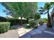 Lush backyard garden with a stone pathway winding through beautiful greenery and mature trees at 9512 E Kilarea Ave, Mesa, AZ 85209
