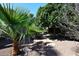 Tranquil garden path with mature landscaping and lush greenery, offering a peaceful retreat at 9512 E Kilarea Ave, Mesa, AZ 85209