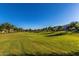 Expansive community green space featuring a manicured lawn and lush trees, perfect for outdoor activities and relaxation at 15480 W Corrine Dr, Surprise, AZ 85379