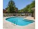 Community swimming pool area with lounge chairs and lush landscaping at 2150 E Bell Rd # 1176, Phoenix, AZ 85022