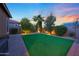 Backyard featuring a manicured lawn with lush greenery, trees, and paved walkways at 24117 N 165Th Dr, Surprise, AZ 85387