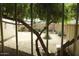 Private backyard space featuring gravel, trees and a block wall at 5301 W Vernon Ave, Phoenix, AZ 85035