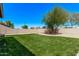 Well-maintained backyard featuring a lush green lawn and mature tree at 6755 S Tucana Ln, Gilbert, AZ 85298