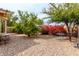 Backyard featuring drought-resistant landscape, accent trees, and patio seating for outdoor enjoyment at 17532 W Caribbean Ln, Surprise, AZ 85388