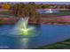A lake with a fountain is the focal point, with a grassy area in the foreground at 2369 E Fiesta Dr, Casa Grande, AZ 85194