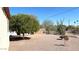 Spacious backyard featuring desert plants, a large tree and gravel ground at 5533 E Decatur St, Mesa, AZ 85205