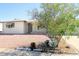 Attractive single-story home with desert landscaping, lush tree, and decorative rock border at 5533 E Decatur St, Mesa, AZ 85205