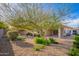 Well-manicured backyard with desert landscaping and mature trees at 5625 W Euclid Ave, Laveen, AZ 85339