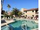 Community pool featuring lounge chairs, mature palms, and red flower landscaping under a sunny sky at 9445 N 94Th Pl # 212, Scottsdale, AZ 85258