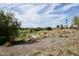 Picturesque golf course view with lush greens, a serene pond, and mature trees under a beautiful sky at 11564 W Mule Deer Ct, Surprise, AZ 85378