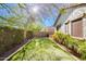 Landscaped backyard includes manicured lawn area, greenery, and stucco home with dark window frames at 12711 W Lowden Rd, Peoria, AZ 85383