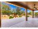 Covered patio with a view of the backyard's mature landscaping and decorative cacti at 16390 W Sheila Ln, Goodyear, AZ 85395