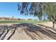 View of the golf course with mature trees and manicured greens in a residential community at 18102 N Petrified Forest Dr, Surprise, AZ 85374