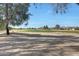 View of the golf course with mature trees and manicured greens in a residential community at 18102 N Petrified Forest Dr, Surprise, AZ 85374