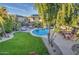 Beautiful backyard featuring a sparkling pool, green grass and lounging area at 188 E Mountain View Rd, San Tan Valley, AZ 85143