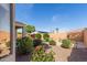 Serene backyard featuring a mix of desert landscaping, greenery, and a view of the blue sky at 20551 N 262Nd Ave, Buckeye, AZ 85396