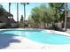 Refreshing community pool surrounded by mature landscaping offering a serene environment at 850 S River Dr # 2018, Tempe, AZ 85281