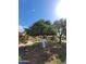 Landscaped front yard featuring mature citrus trees and well-maintained green grass at 11108 W Cameo Dr, Sun City, AZ 85351