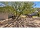 Backyard seating area with shade trees offering an inviting outdoor living space at 144 W Palm Ln, Phoenix, AZ 85003