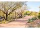 Well-maintained walking path through a community with lush vegetation and desert plants at 18572 N 94Th St, Scottsdale, AZ 85255
