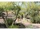 Picturesque walking path through a beautiful community with lush greenery and desert landscaping at 18572 N 94Th St, Scottsdale, AZ 85255