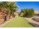 Beautiful backyard featuring artificial turf and mature trees providing privacy, perfect for relaxation or outdoor games at 21256 E Waverly Dr, Queen Creek, AZ 85142