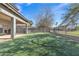 A large artificial turf backyard featuring a covered patio, mature trees, and ample space for activities at 3419 E Rosa Ln, Gilbert, AZ 85297