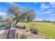 Lush, manicured backyard view overlooking a golf course with mature landscaping and beautiful desert scenery at 3419 E Rosa Ln, Gilbert, AZ 85297