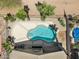 Aerial view of backyard pool and patio area surrounded by lush landscaping and mature palm trees at 42476 W Chisholm Dr, Maricopa, AZ 85138