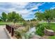 Scenic pond with lush vegetation, trees, and a small bridge in a landscaped community park at 4606 S Ferric --, Mesa, AZ 85212