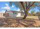 Private backyard with mature trees, rock border, and well-maintained landscape offers a serene outdoor space at 5431 W Sierra St, Glendale, AZ 85304