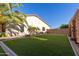 Large backyard with a well-maintained lawn, privacy fence, landscaping, and desert plants at 6022 W Fetlock Trl, Phoenix, AZ 85083