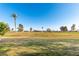 Scenic view from the property showcasing the lush green golf course and swaying palm trees at 10420 W Tropicana Cir, Sun City, AZ 85351