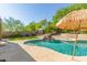 Backyard pool with tropical umbrella, small rock waterfall, and lush landscaping creates a resort-like setting at 10558 E Meadowhill Dr, Scottsdale, AZ 85255