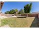 Expansive backyard featuring lush green grass, mature trees, and a fenced-in pool area at 12603 W Blackstone Ln, Peoria, AZ 85383