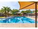 Community pool with a palm tree, lounge chairs, shade umbrellas, and sparkling blue water at 12603 W Blackstone Ln, Peoria, AZ 85383