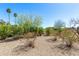 Low-maintenance backyard featuring desert landscaping, showcasing palm trees and gravel ground cover at 16657 E Gunsight Dr # 181, Fountain Hills, AZ 85268