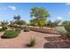 Low-maintenance backyard with rock landscaping and mature desert trees provides a peaceful outdoor setting at 23123 N Cardenas Dr, Sun City West, AZ 85375