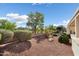 Well-maintained backyard with rock landscaping and mature trees bordering the back patio creates a private outdoor space at 23123 N Cardenas Dr, Sun City West, AZ 85375