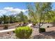 Community walking path with beautiful desert landscaping and mature trees provides a scenic outdoor experience at 23123 N Cardenas Dr, Sun City West, AZ 85375