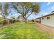 Lush backyard with mature tree providing ample shade; perfect for outdoor activities at 5165 E Tunder Dr, Phoenix, AZ 85044