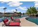 Poolside area featuring lounge chairs, lush palm trees, and waterfront views at 5471 W Quail Ave, Glendale, AZ 85308